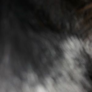 Meet your Posher, Camille